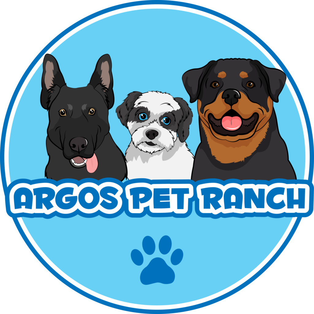 Women's Baseball Jersey (AOP) - Argos Dog Training